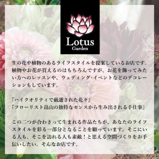 SL0143　【4回定期便】「季節の花や植物の定期便 んだの４」