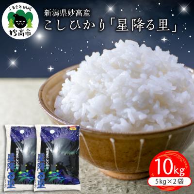 ふるさと納税 妙高市 新潟県妙高産こしひかり「星降る里」10kg【順次発送】