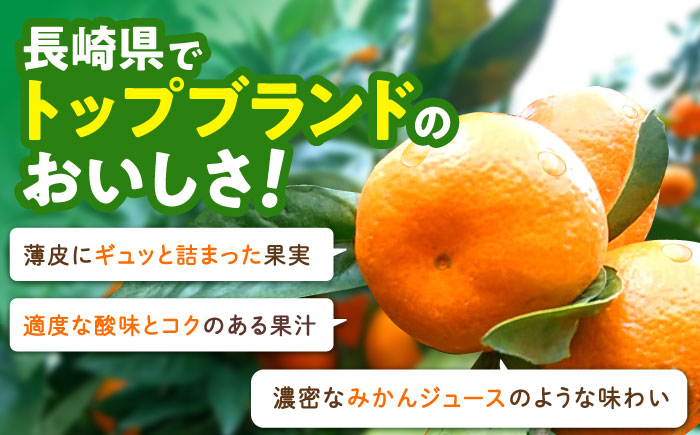 ※【2026年11月より順次発送／先行予約】力温州早生みかん10kg(ご家庭用、箱入り) / みかん 温州みかん 柑橘 蜜柑 ミカン 果物 / 諫早市 / 末永果樹園 [AHBD002]