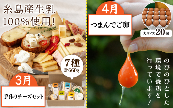 【全12回定期便】糸島ガッツリお楽しみ定期便（水炊き / しゃぶしゃぶ / チーズ / 卵 / ヨーグルト / ウインナー / 野菜 / お茶漬け / 明太子 / スイーツ / 牛肉 / 豚肉 ）  