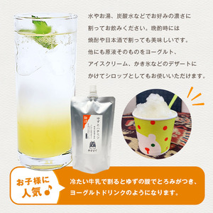 南信州天龍村 ゆずとハチミツ [希釈用]