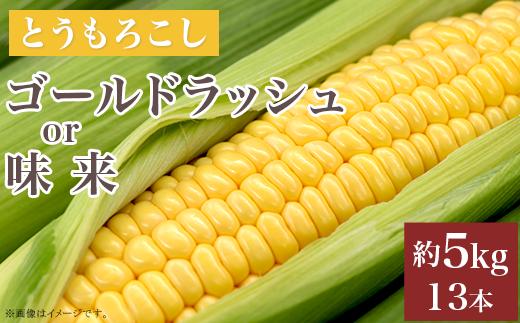 
            325 とうもろこし ゴールドラッシュ or 味来 約5kg 13本 朝採れ 黄 茨城 先行予約 2025年7月頃～発送予定
          