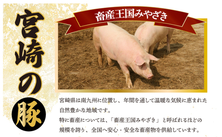MCBY4-39 宮崎県産 豚肉詰め合わせ 焼肉セット（合計3.9kg）