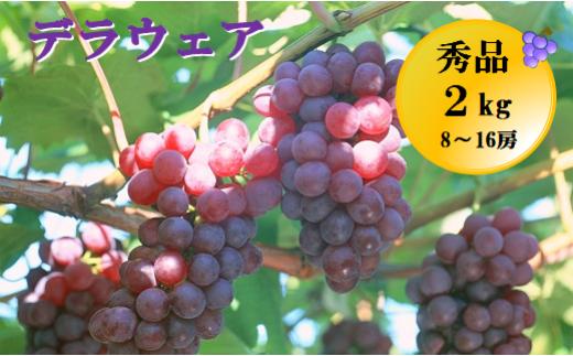 08-05-008　ぶどう(デラウエア)約2kg