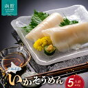 【ふるさと納税】道水 いかそうめん 5人前 400g 刺身用 冷凍 鮮度抜群 専用タレ おろし生姜付き 小分けパック 便利 イカソーメン イカ 刺身 イカ刺し ご自宅用 贈答用 化粧箱入り 新鮮 おかず お酒に合う 酒の肴 おつまみ 北海道 函館 送料無料 お取り寄せグルメ