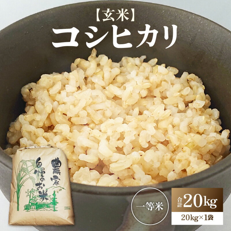 【ふるさと納税】【先行予約】【令和8年産・新米】コシヒカリ 玄米 20kg / コシヒカリ 玄米 お米 米 こめ コメ こしひかり 福井県 一等米 あわら市 ブランド米 あわら市産コシヒカリ 福井県産コシヒカリ コスパ ※2026年9月下旬より順次発送予定