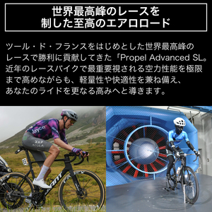 【フレームのみ】GIANT PROPEL ADVANCED SL FRAMESET (カラー：Cosmic Dust) ｜ ﾊﾞｲｸ自転車ﾊﾞｲｸ自転車ﾊﾞｲｸ自転車ﾊﾞｲｸ自転車【GIA001_c】