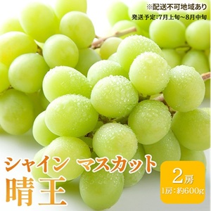 ぶどう 2026年 先行予約 シャイン マスカット 晴王 約600g×2房 ブドウ 葡萄  岡山県産 国産 フルーツ 果物 ギフト シャインマスカット 美しい 大粒 種なし 弾力 高糖度 甘い