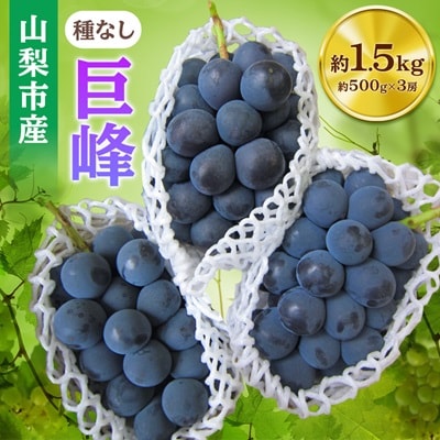 山梨市産「巨峰(種なし)」詰め合わせ(約500g×3房)【配送不可地域：離島・沖縄県】