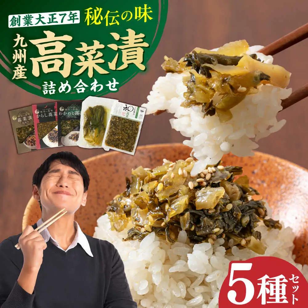 秘伝の味 九州産高菜漬5種 詰め合わせセット[BGAX001] お漬物 高菜