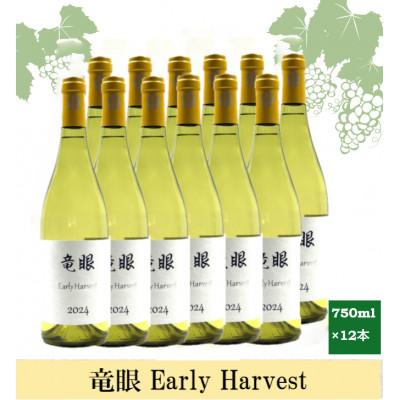 ふるさと納税 長野市 ワイン 竜眼 Early Harvest 750ml×12本