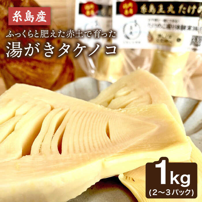 【ふるさと納税】【先行受付】 湯がきタケノコ 1kg 【2026年4月以降順次発送】 糸島市 / 糸島王丸農園(谷口汰一)【いとしまごころ】[AAZ009] たけのこ 筍 12000円 1万2千円