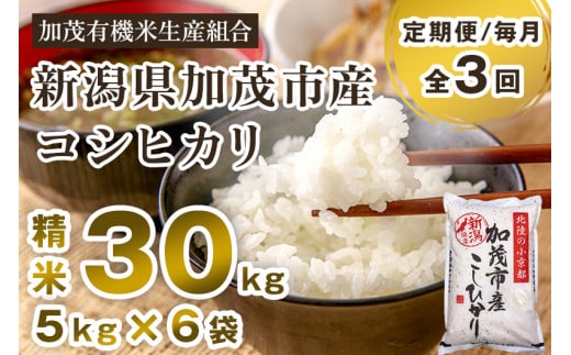 【令和7年産新米先行予約】【定期便3回毎月お届け】新潟県加茂市産コシヒカリ 精米30kg（5kg×6） 《10月中旬から順次出荷 》 白米 加茂有機米生産組合