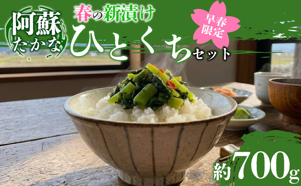 【今が旬！】春の「ひとくち阿蘇」セット 新漬け高菜3種食べ比べセット 阿蘇高菜 漬物 青高菜 青たかな 高菜漬け 高菜漬 高菜風味 お漬物  老舗 新漬け 浅漬 手作り 伝統 春限定 春の味覚 旬の高菜 季節限定 期間限定 無添加 産地直送  熊本県 阿蘇市