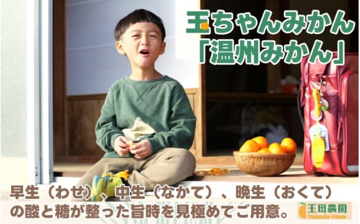 有田 みかん 旨時 体に優しい玉ちゃんみかん 10kg / 温州みかん 有田みかん 甘い 和歌山 柑橘 ※12月初旬～2月中旬に順次発送 【tmd004-cu-10】