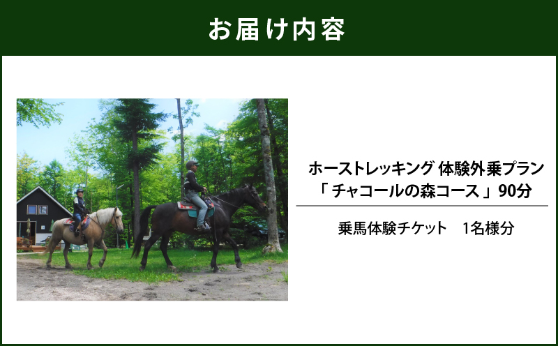 ホーストレッキング 体験外乗プラン 90分 「チャコールの森コース」　T014-002