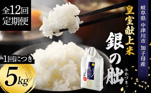 ＜テレビで紹介されました！＞令和7年度　新米【全12回定期便】皇室献上米『銀の朏』5kg 中津川市加子母産 栽培期間中化学肥料不使用 お米 新米 精米 F4N-1879
