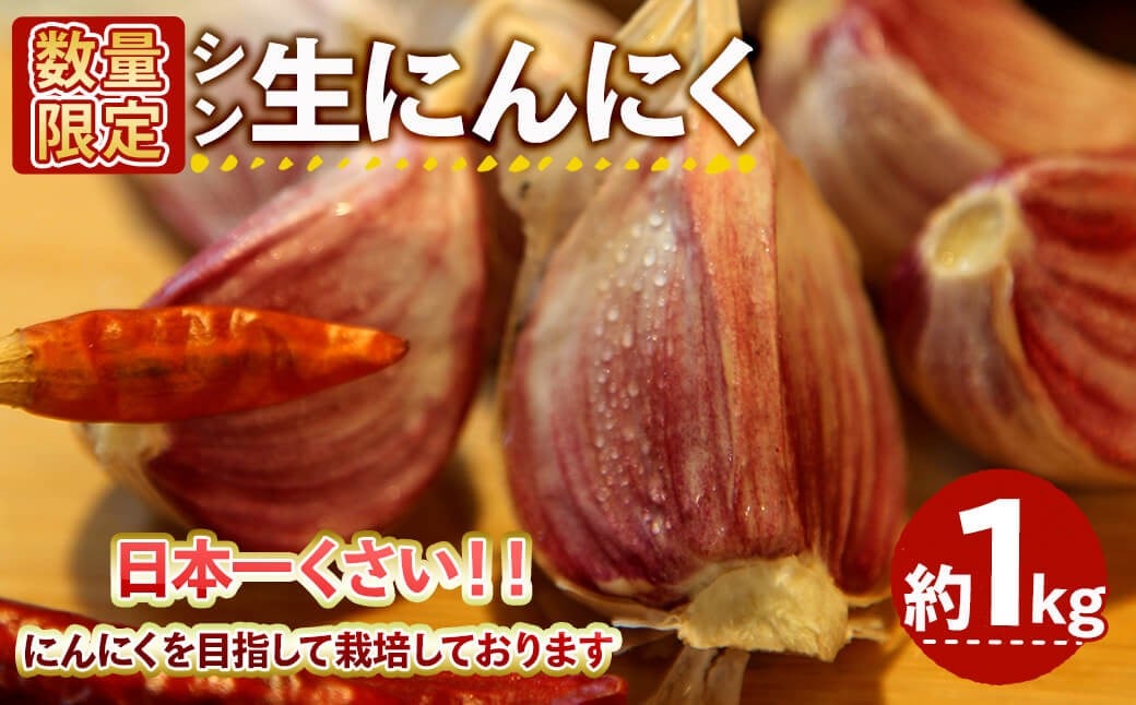 
            ＜5月中旬～6月上旬発送予定＞＜数量限定＞シン・にんにく 生ニンニク(約1kg) 【m102-07】【トラキチ】
          