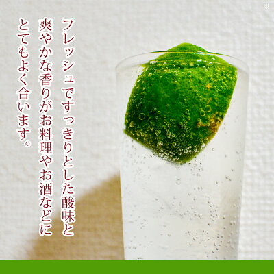 EA6044n_綺麗な湧き水で育てた グリーンレモン 5kg (大小混合)