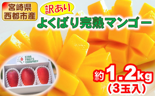 訳あり よくばり完熟マンゴーセット3玉 約1.2kg アップルマンゴー  宮崎県西都産 生産者直送【マンゴー専門 スターフルーツカンパニ】宮崎マンゴー 果物 南国 フルーツ 甘い 2027年発送【先行予約】＜1.8-25＞ 33-1b