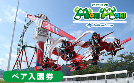 遊園地 キャンプ さがみ湖MORI MORI 【神奈川県 相模湖東ICから7分】ペア入園券 関東最大級イルミネーション「イルミリオン」雪遊び広場「スノーパラダイス」水の楽園「じゃぶじゃぶパラダイス」 ｜レジャーチケット