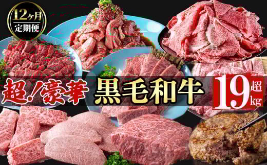 【定期便全12回】超豪華！黒毛和牛堪能贅沢定期便！(総重量19kg超)   鹿児島県産 黒毛和牛 和牛 肉 牛肉 国産 九州産 鹿児島県産 焼肉 BBQ 日本一 ランキング 人気 A4 A5 ステーキ 切り落とし ハンバーグ カルビ ミスジ 訳あり t0363-001
