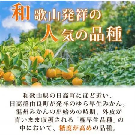 【2026年10月下旬以降より発送】【日高町】紀州和歌山有田産ゆら早生みかん　5kg【1217366】
