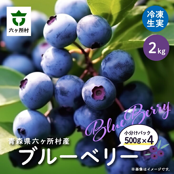 【ふるさと納税】《先行予約 2026年8月中旬～順次出荷》六ヶ所村産 ブルーベリー 冷凍 生実 2kg 果物 国産 フルーツ 果実 ジャム スムージー 旬 新鮮 甘い グルメ お取り寄せ ギフト 訳あり お歳暮 返礼品 六ヶ所村 青森 送料無料 【就労継続支援B型事業所かけはし】