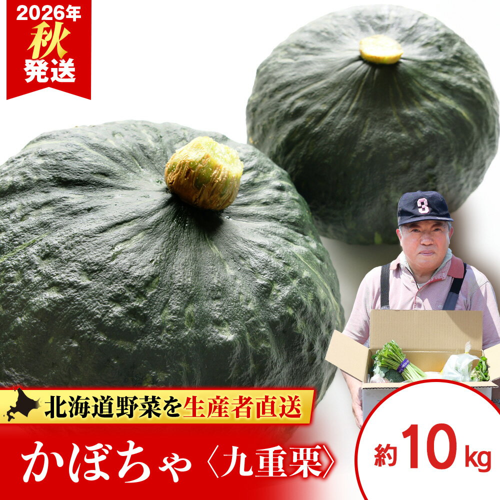 【ふるさと納税】2026年発送 かぼちゃ＜九重栗＞10kg《土居ファーム》 野菜 かぼちゃ 九重栗 南瓜 カボチャ 北海道ふるさと納税 千歳市 ふるさと納税 【北海道千歳市】ギフト ふるさと納税