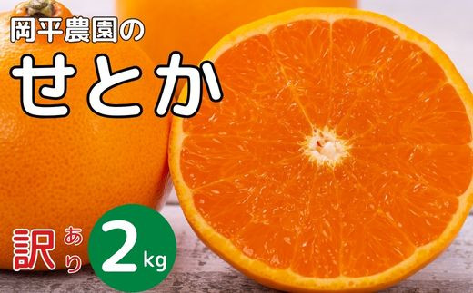 
            数量限定 先行予約 訳あり せとか 2kg 7000円 setoka 高級 人気 ブランド プレミアム 産地直送 農家直送 愛媛 みかん mikan 蜜柑 ミカン 国産 期間限定 特産品 フルーツ 果物 柑橘 甘い おいしい ジューシー わけあり サイズミックス お取り寄せ 岡平農園 愛南町 愛媛県
          