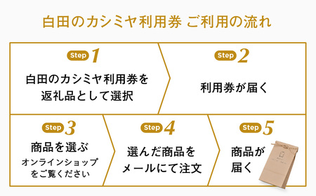 カシミヤ あとから選べる！カシミヤ ≪白田のカシミヤ≫ 利用券 260万円分