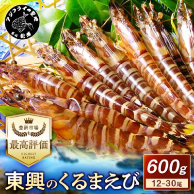 ふるさと納税 松浦市 豊洲市場で高評価を受け続ける車海老　東興のくるまえび600g(玄海活きくるまえび)