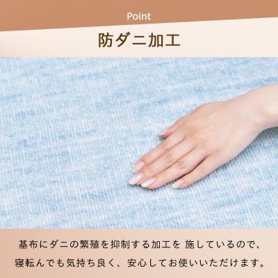 ふるさと納税 和泉市 防ダニ カーペット 10畳 日本製 抗菌防臭 ノースポール 江戸間 352×440cm ブルー |  | 01