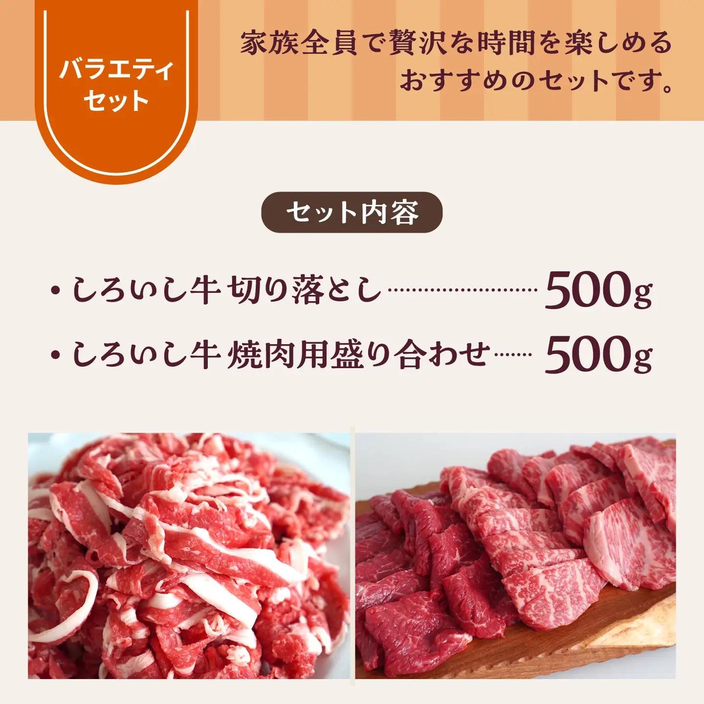 しろいし牛 食卓にうれしいバラエティ セット（切り落とし 500g＆焼肉用 500g） 佐賀セントラル牧場 [IAH194]