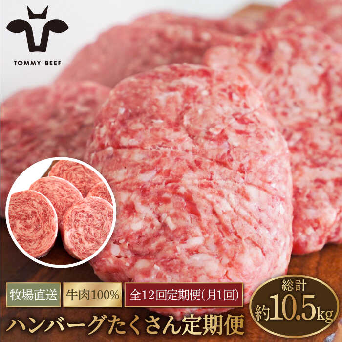 【ふるさと納税】【牧場直送】【12回定期便】家族に優しい！ハンバーグ＆ロールステーキ定期便【佐賀セントラル牧場】牛肉 和牛 ステーキ 人気 おすすめ ハンバーグ ロールステーキ 惣菜 おかず 佐賀県 白石町 [IAH050]