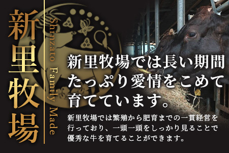 石垣島産 黒毛和牛 新里牛 赤身系焼き肉用 計600ｇ(300g×2)【 牛肉 肉 赤身 ウデ モモ 焼肉 和牛 バーベキュー BBQ 石垣 石垣島 沖縄 】SZ-21