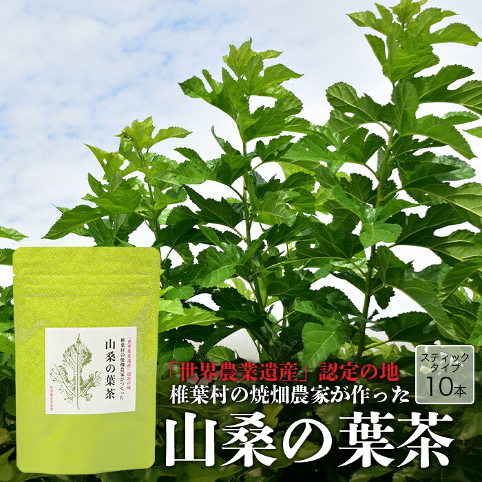 【ふるさと納税】【世界農業遺産の産物】焼畑農家がつくった山桑の葉茶 スティックタイプ【桑茶】お茶 緑茶 粉末緑茶 粉末茶 粉茶 スティックタイプ 個包装 パウダー お茶割り 健康茶 日本茶 水出し スティック 水出し緑茶 粉末 インスタント 冷茶 山桑 健康 無添加