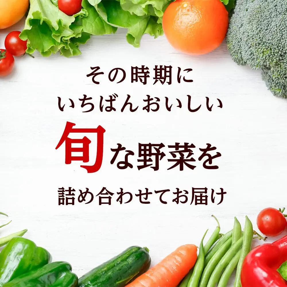 「ベジーズ館」の夏・冬野菜　年２回コース （7月と12月発送）｜【野菜定期便・野菜・定期便・冬野菜・夏野菜・野菜セット・旬の野菜・兵庫野菜・相生野菜・国産野菜・野菜詰め合わせ・冬野菜詰め合わせ・夏野菜