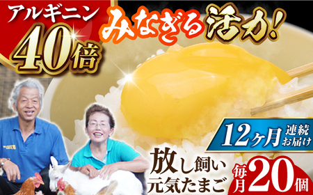 【全12回定期便】 アルギニン 元気たまご 20個 自然栽培 平飼い 【浅田峠自然塾】卵 20個 たまご 鶏卵 玉子 国産 卵かけご飯 たまごかけご飯 すき焼き 目玉焼き [EA04] げんきたまご たまご料理 卵スイーツ