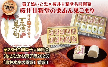 桜井甘精堂 の 栗あん 巣ごもり 8個入 | 和菓子 お菓子 お茶請け 餡子 和風 スイーツ お土産 贈り物 長野県 飯田市 信州