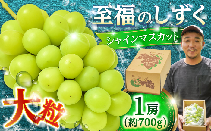 【先行予約・25年9月以降発送】日田産シャインマスカット 1房 約700g　?至福のしずく? ぶどう 日田市 / 松岡果樹園 [AREJ001]