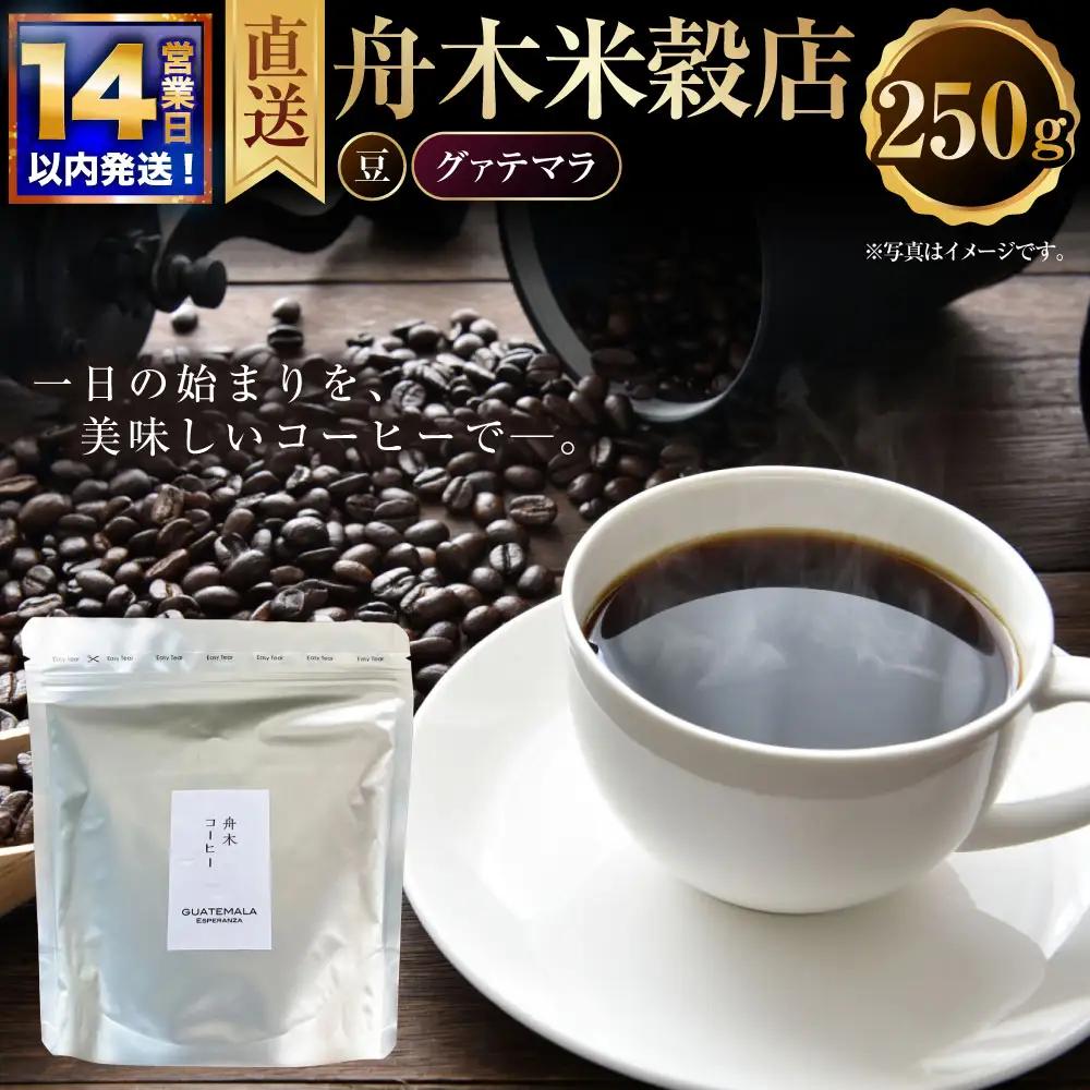 【14営業日以内に発送】 豆 【直送】 舟木米穀店 グァテマラ 250g コーヒー 珈琲 COFFEE coffee コーヒー豆 スペシャルティコーヒー 自家焙煎 焙煎