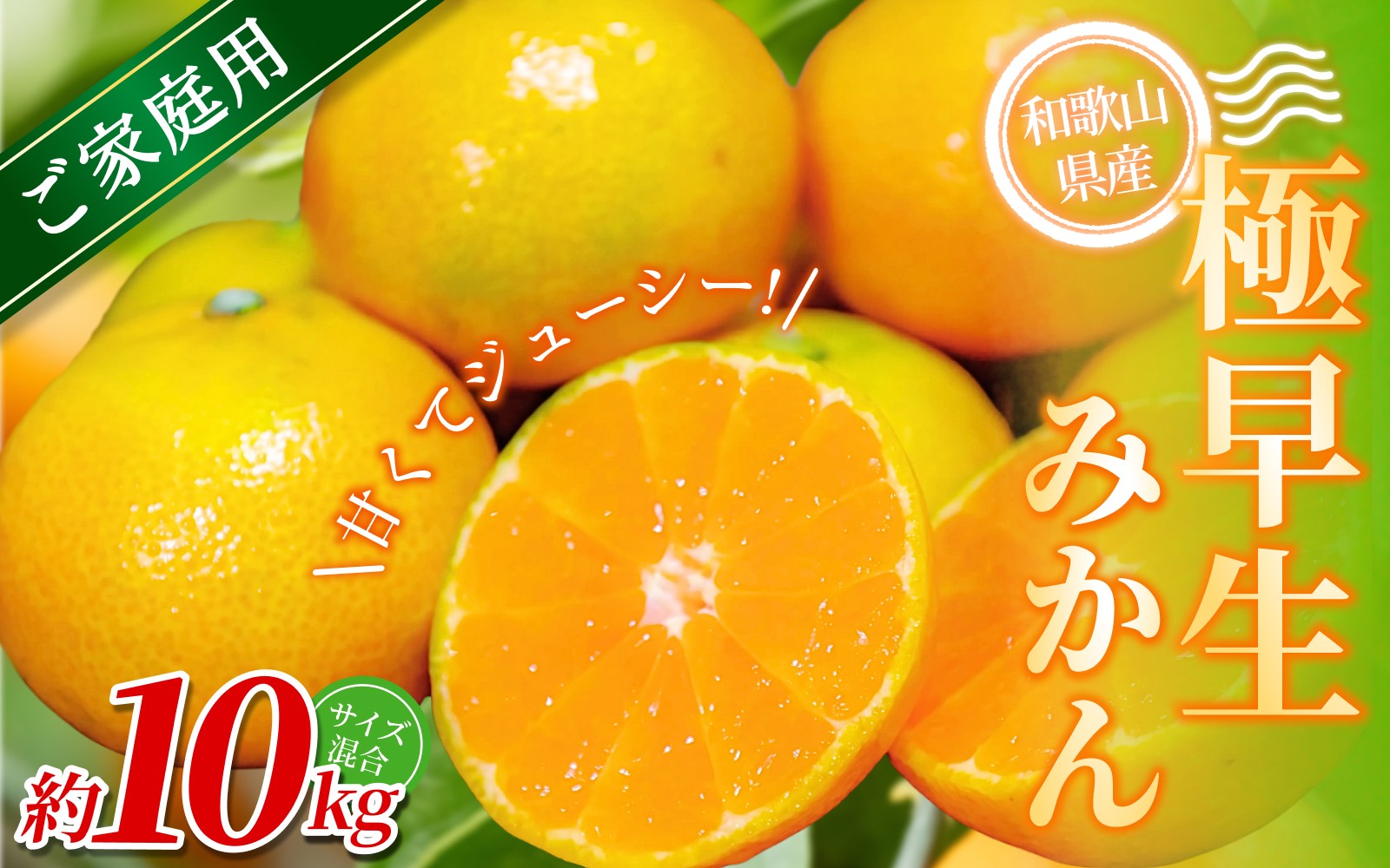 
            【家庭用】 森本農園の手選別 極早生みかん 約10kg 和歌山県産 2S~2Lサイズ混合 【北海道・沖縄・離島配送不可】【2025年10月上旬～下旬頃に順次発送】【RN29】
          