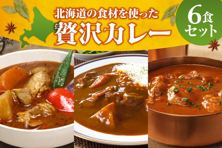 北海道の食材を使った贅沢カレー6食セット｜スープカレー 札幌市