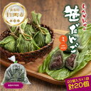 【ふるさと納税】ミニ笹だんご 25g × 20個 袋入り つぶあん 冷凍 笹団子 銘菓 ダンゴ 新潟 お土産 餅 和菓子 もち スイーツ だんご 着色料不使用 おやつ ギフト お取り寄せ 新川屋 新潟県 十日町市　 団子 　お届け：入金確認後、約1週間～2週間ほどでお届け