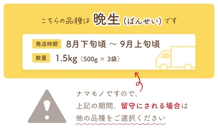 【令和６年産先行予約】だだちゃ豆(晩生)　1.5kg（500g×3袋）小池喜左衛門ファーム　枝豆