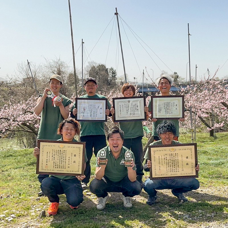 さくらんぼ 「紅秀峰」500g 特秀品 2Lサイズ以上 山形産 FY25-0