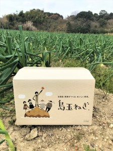 【期間限定】島玉ねぎ（新玉ねぎ）2.5kg+白米10kg　★発送3月～