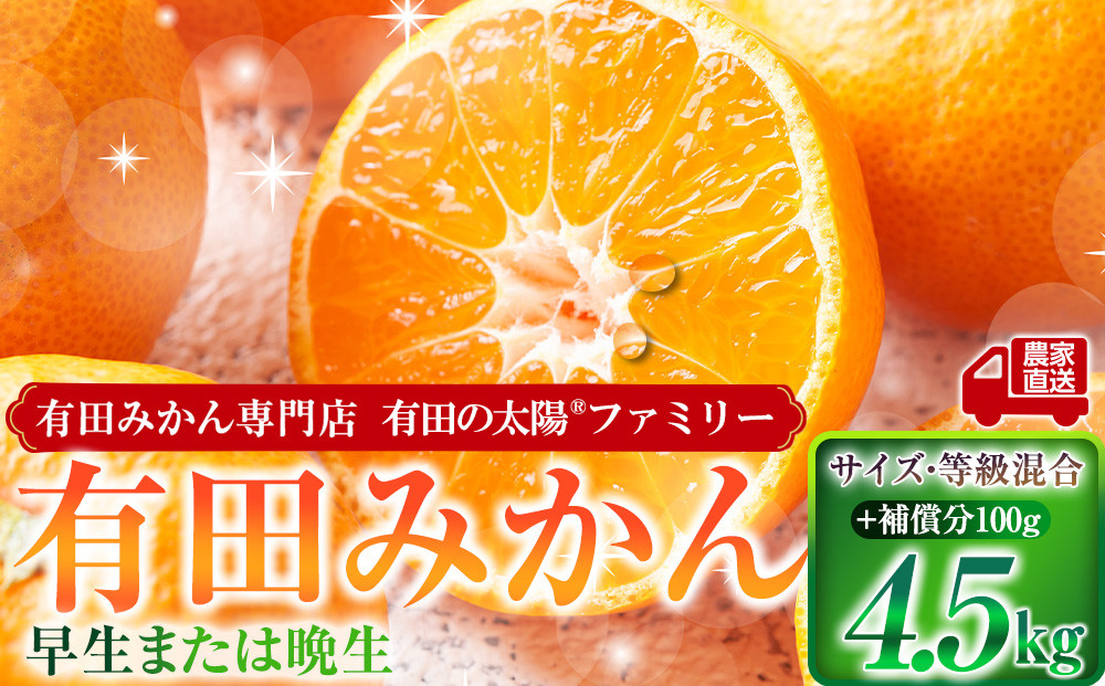 有田みかん専門店 有田の太陽®ファミリー 早生または晩生 有田みかん 4.5kg＋補償分100g 山採れ・サイズ・等級 混合
