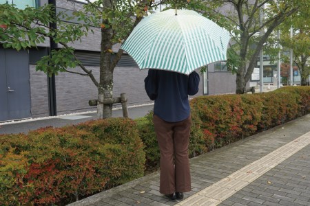 雨長傘　富士と水（緑）